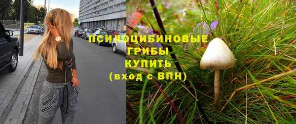 тгк Балахна